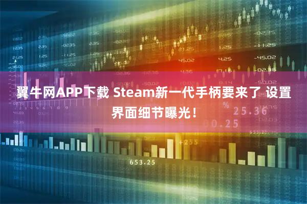 翼牛网APP下载 Steam新一代手柄要来了 设置界面细节曝光！