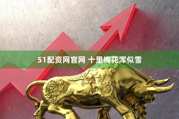51配资网官网 十里梅花浑似雪