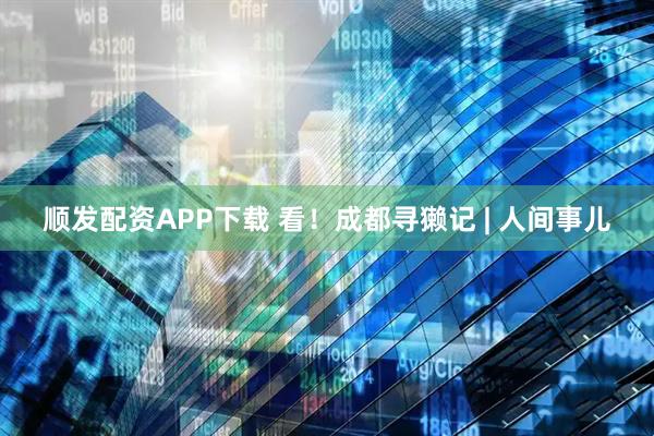 顺发配资APP下载 看！成都寻獭记 | 人间事儿
