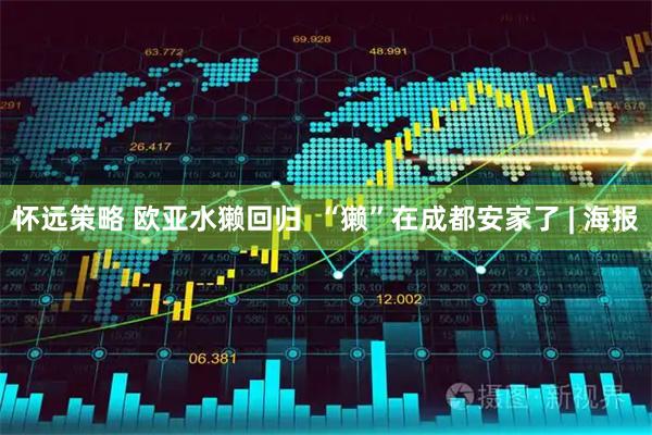 怀远策略 欧亚水獭回归  “獭”在成都安家了 | 海报