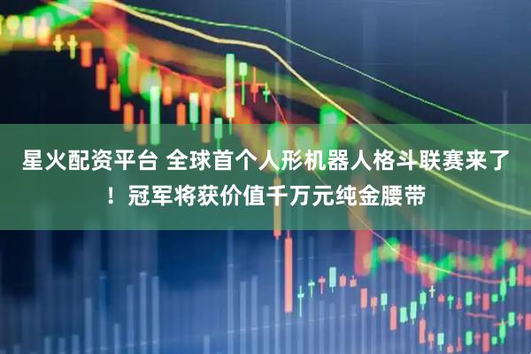 星火配资平台 全球首个人形机器人格斗联赛来了！冠军将获价值千万元纯金腰带